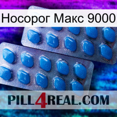 Носорог Макс 9000 viagra2